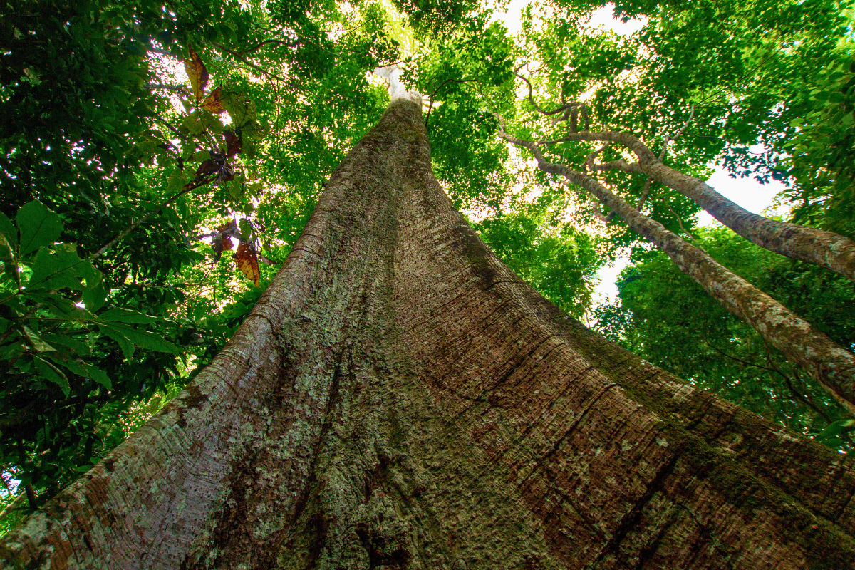 Foto: Adobe Stock