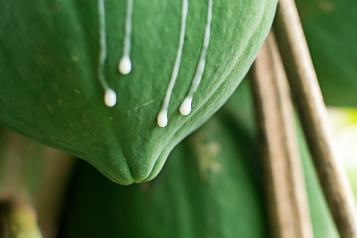 Foto: Adobe Stock