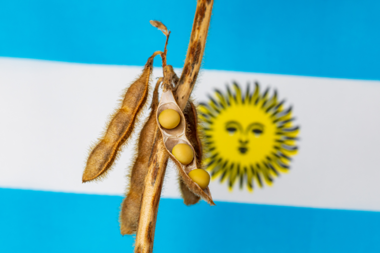 Soja sobe com aumento de imposto na Argentina 