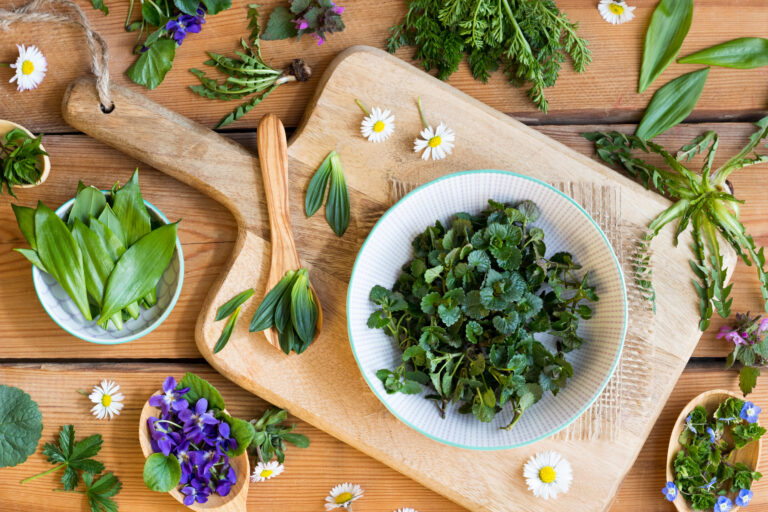 Plantas comestíveis que eram usadas por nossos avós e estão voltando à moda
