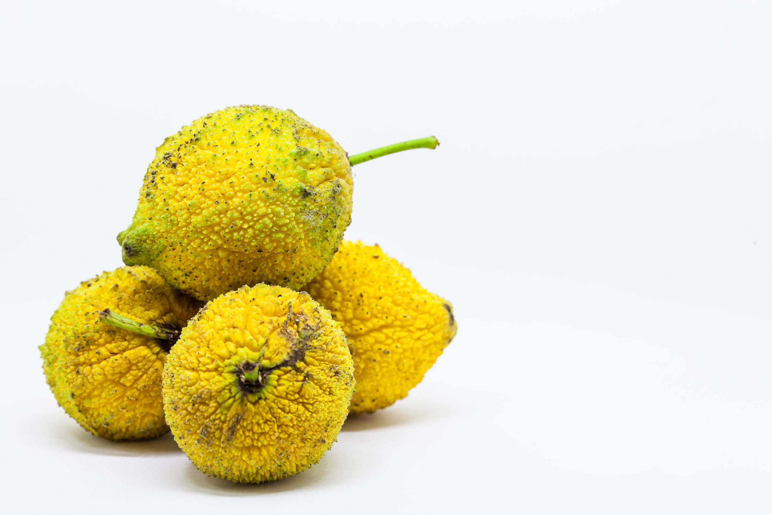 Foto: Adobe Stock