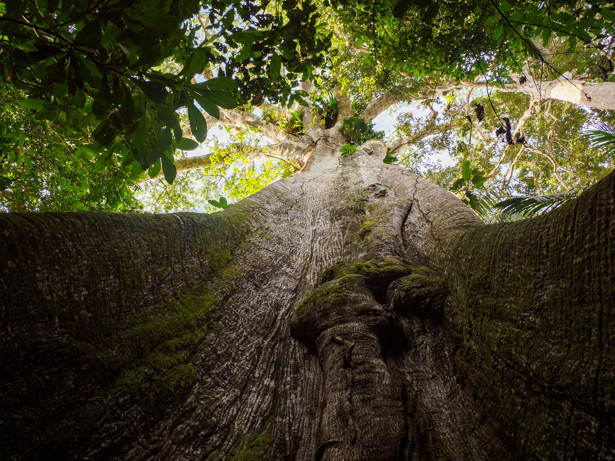 Foto: Adobe Stock 