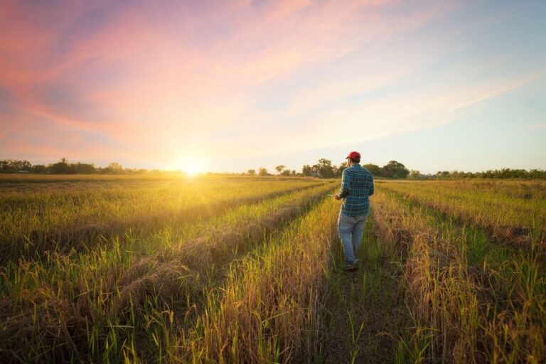Sancionada lei que trata de juventude e sucessão rural 