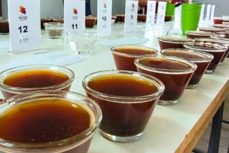 Concurso de Qualidade dos Cafés de Minas Gerais abre inscrições