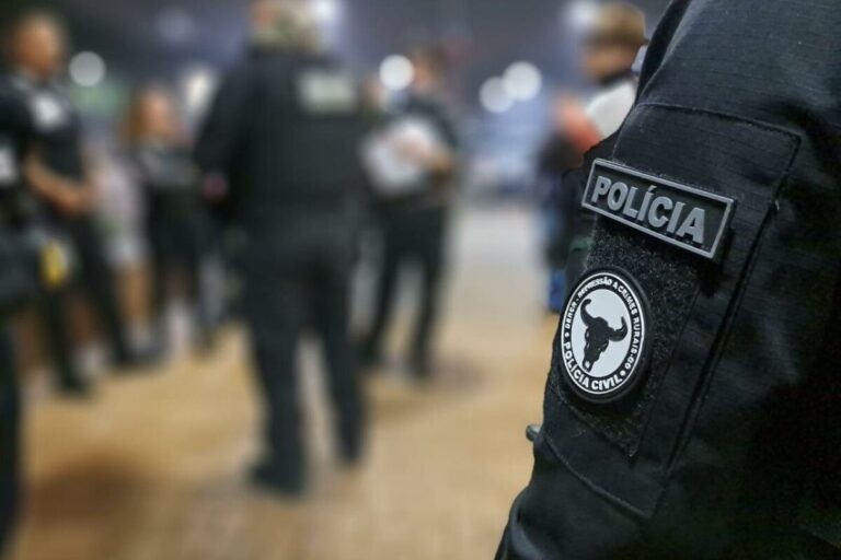Em Goiás, golpistas emitiram quatro mil GTAs falsas e movimentaram 200 mil bovinos