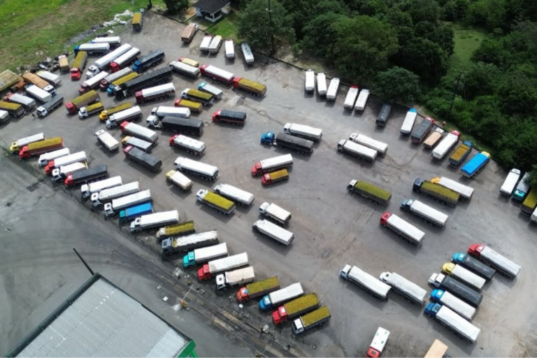 Laranja: supersafra provoca filas recordes em Sergipe