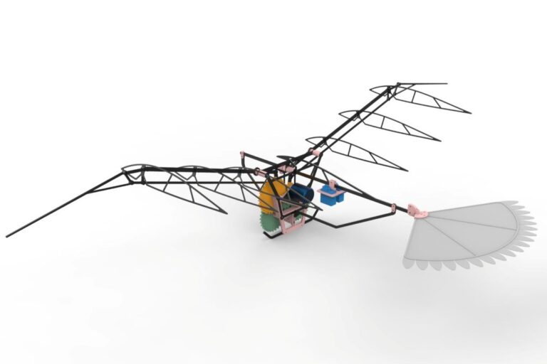 Drones que batem asas? Pássaros inspiram pesquisa em SP