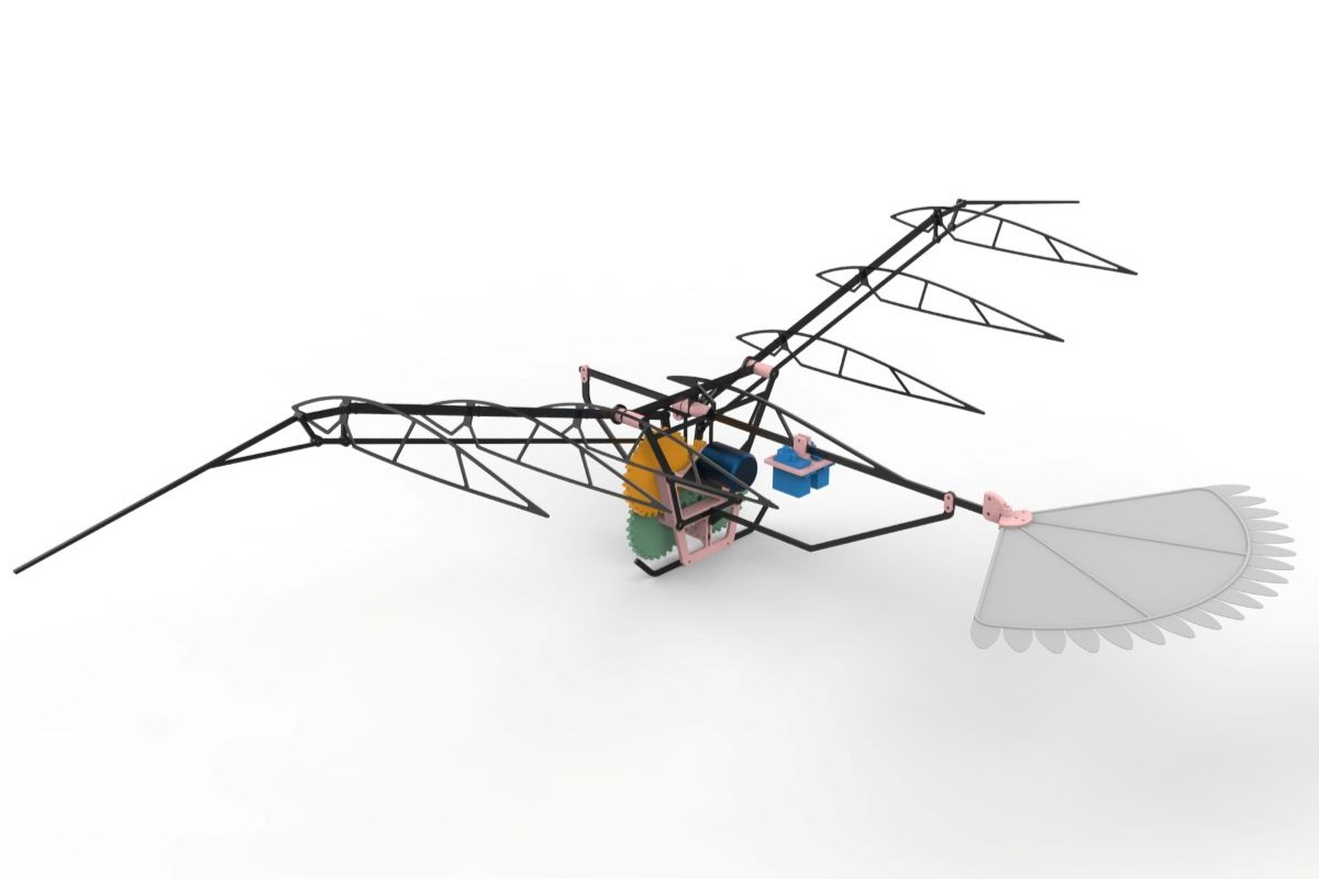 Proposta de drone inspirado na arara-canindé: pesquisadores buscam entender aerodinâmica dos pássaros para aplicá-la em veículos aéreos. Foto: Douglas Bueno/Arquivo Pessoal