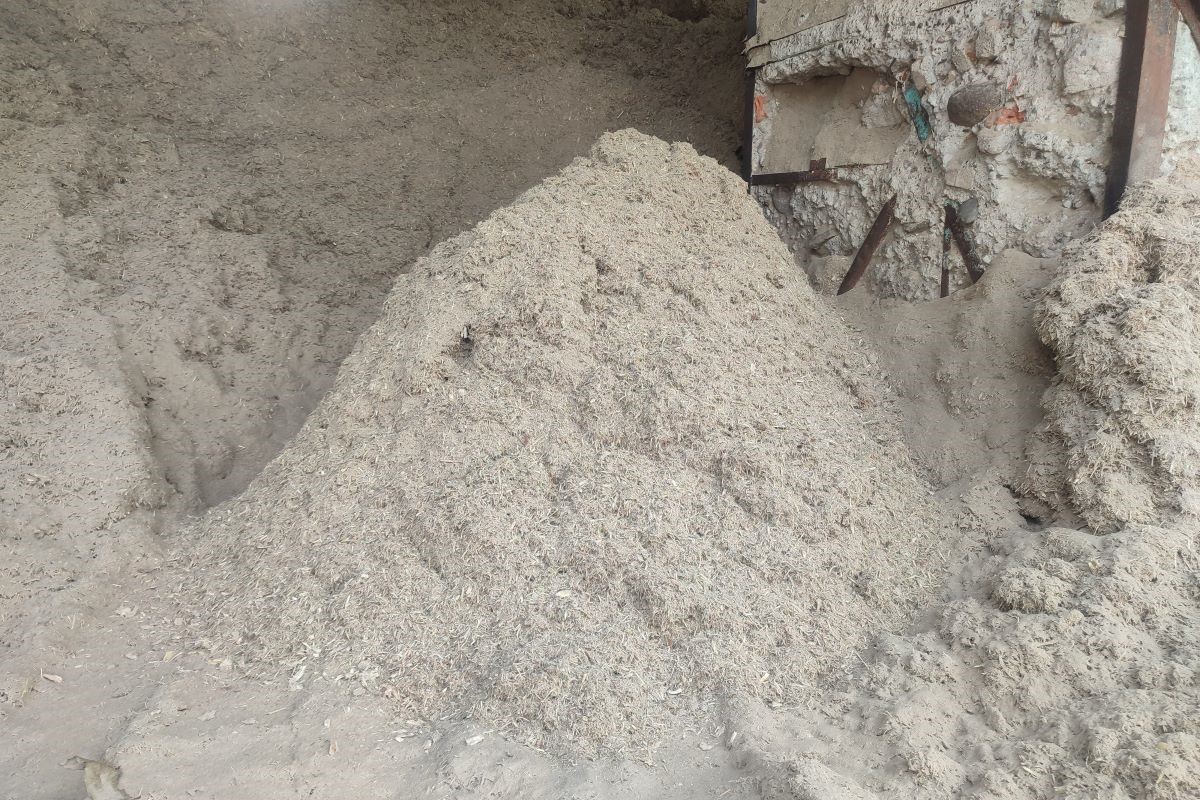 Experimentos na UFSCar comprovaram que bagaço na forma de cinzas pode virar fertilizante após tratar a vinhaça. Foto: Adobe Stock