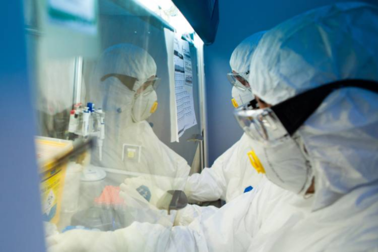 Vacina contra gripe aviária: Anvisa autoriza teste com humanos