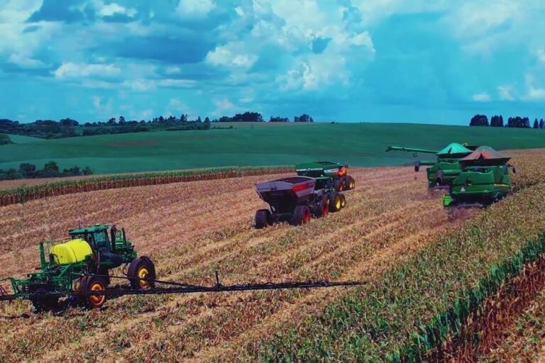 Família de agricultores do RS quebra recorde brasileiro na produção de milho
