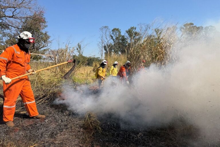 Com tempo seco, interior de SP entra em alerta para incêndios