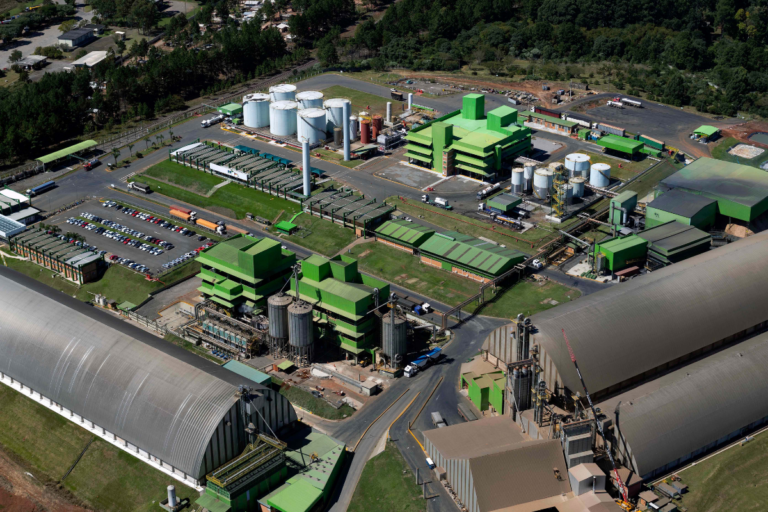 BNDES libera recurso para a primeira fábrica de glúten vital do Brasil 