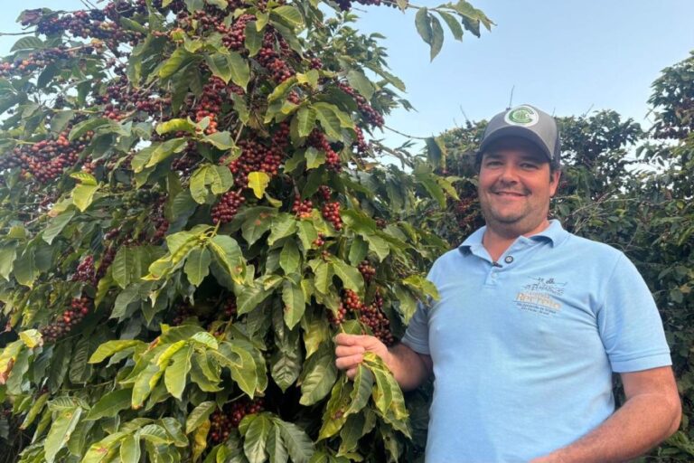 Cafeicultor vê tarifa dos EUA com apreensão