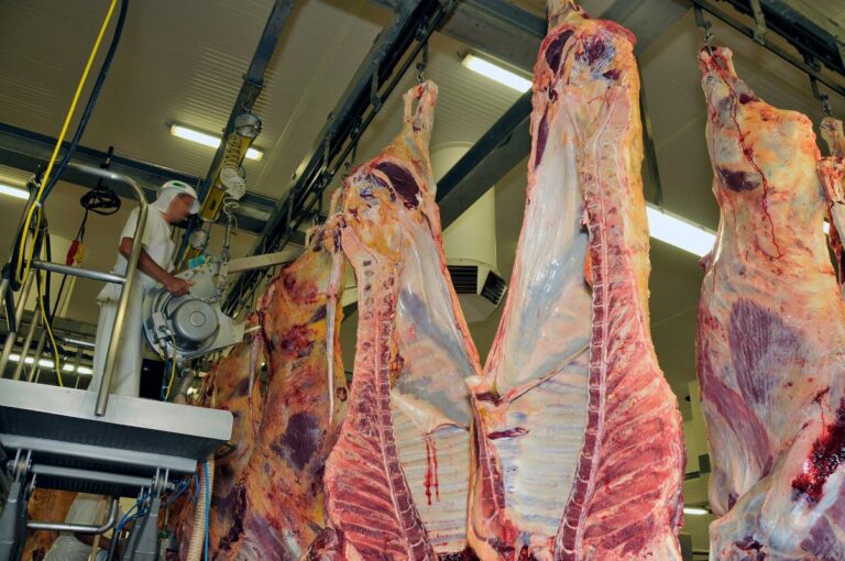 Às vésperas da tarifa, embarque de carne bovina tem recorde no mês
