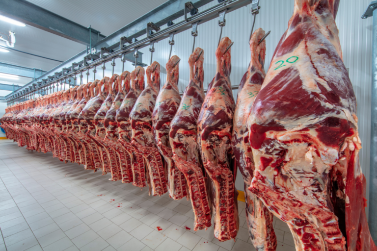 Exportações de carne batem recorde, mas tarifa dos EUA impacta setor