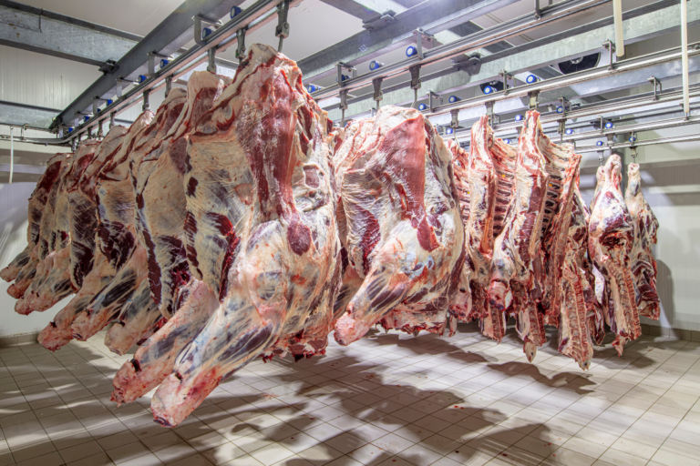 Sem EUA, qual seria o destino da carne brasileira?