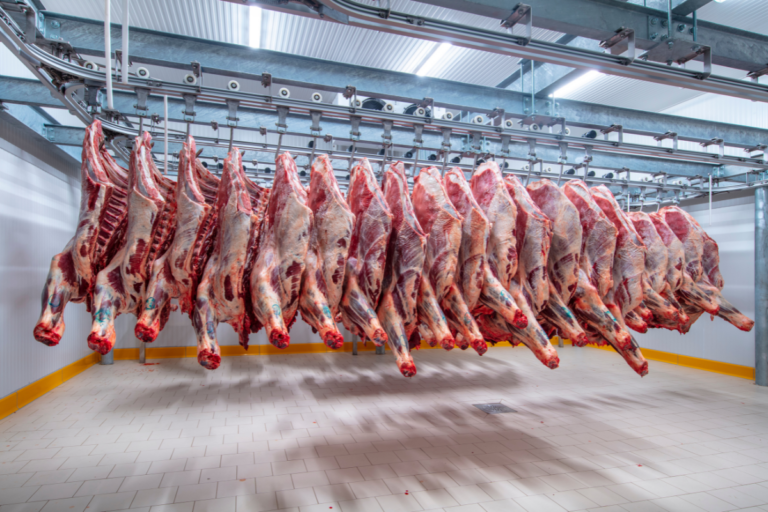 Indonésia abre mercado para carne bovina brasileira