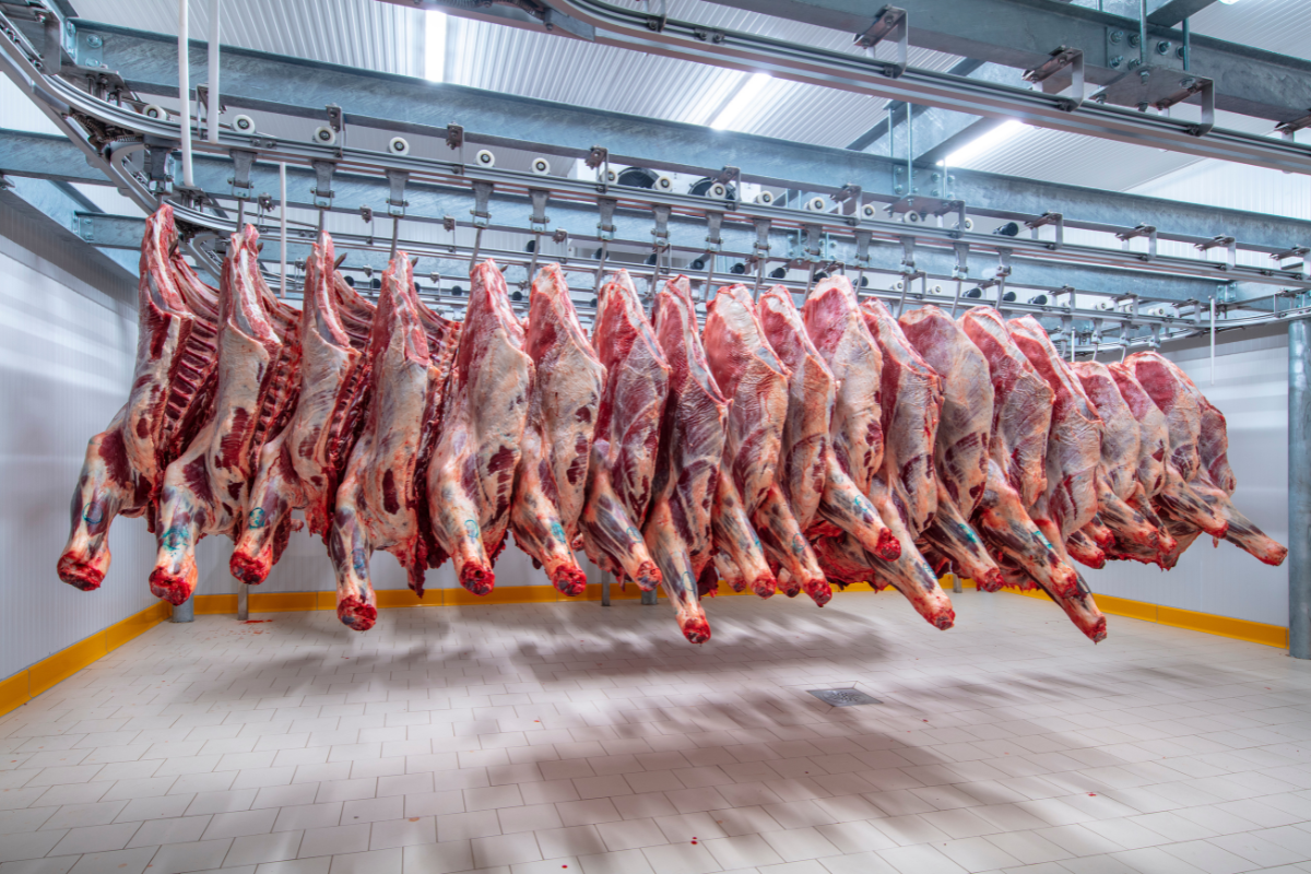 Foto: Adobe Stock   