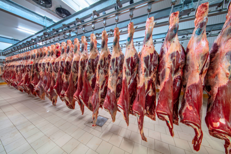 China barra exportação de carne do Uruguai