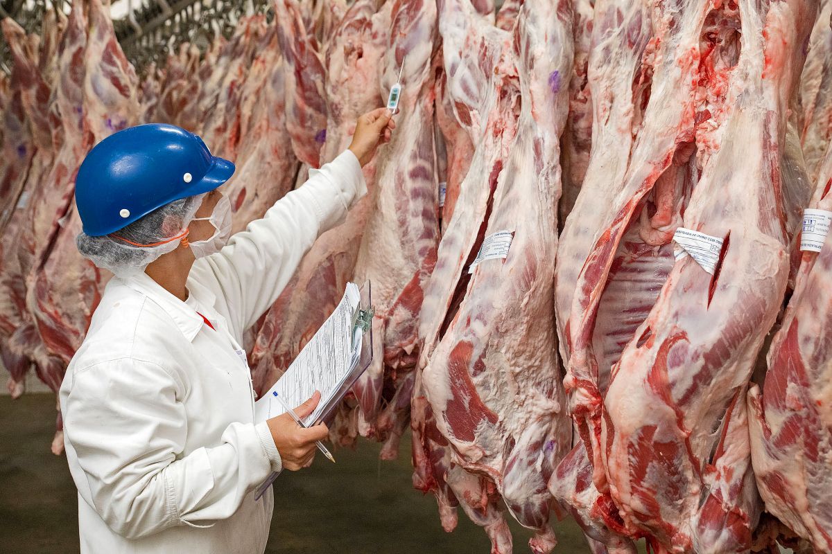 Brasil tem cerca de 30 mil toneladas de carne já em portos ou navios - Foto: Adobe Stock