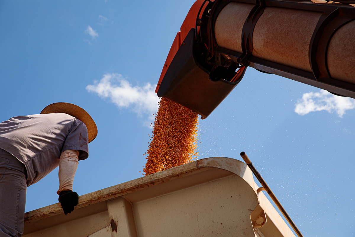 Foto: Marcos Vergueiro/Secom-MT