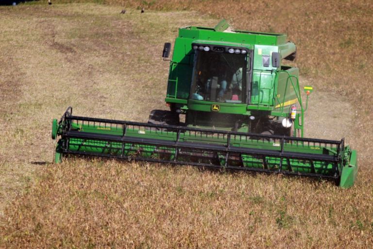 Com 864 mil toneladas de feijão, Paraná bate novo recorde de produção
