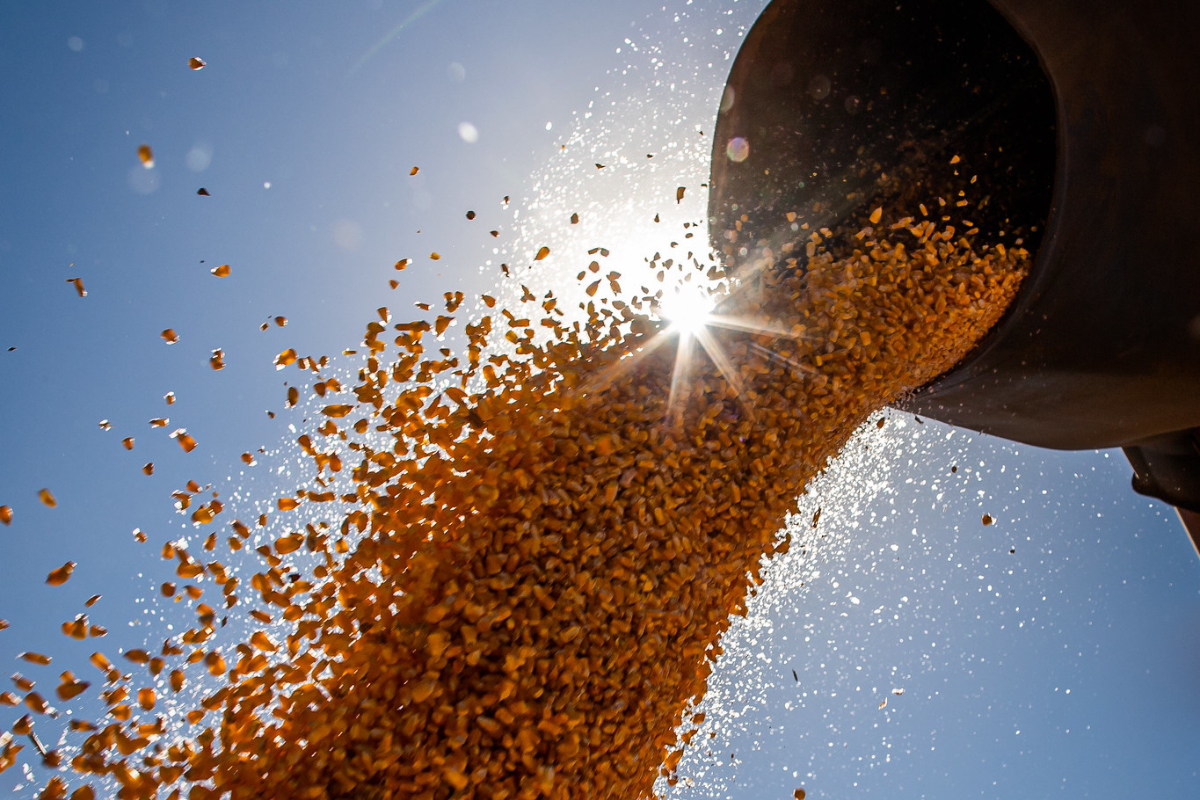 Foto: Adobe Stock      