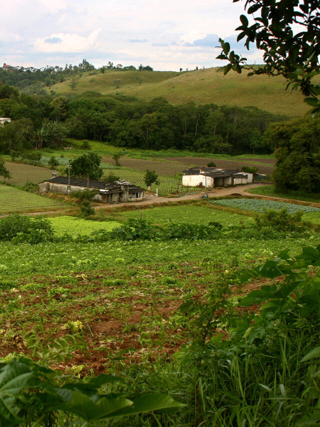 Nome Categoria