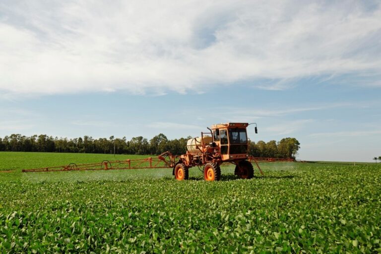 Imea: defensivos elevam custo de produção da soja e milho em Mato Grosso em junho