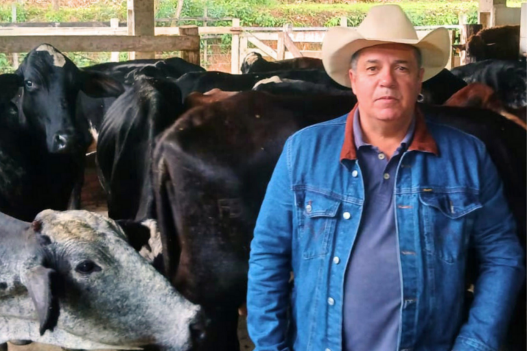 Dia do Pecuarista: produtor desenvolve técnica que eleva em 80% a produção de bezerros