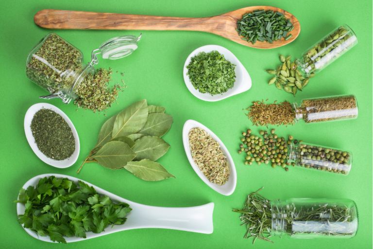 Cultivar manjericão, alecrim e hortelã é mais fácil do que parece