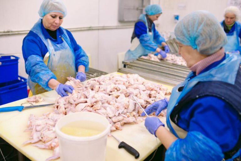 Países retiram restrições à carne de frango brasileira; veja lista atualizada