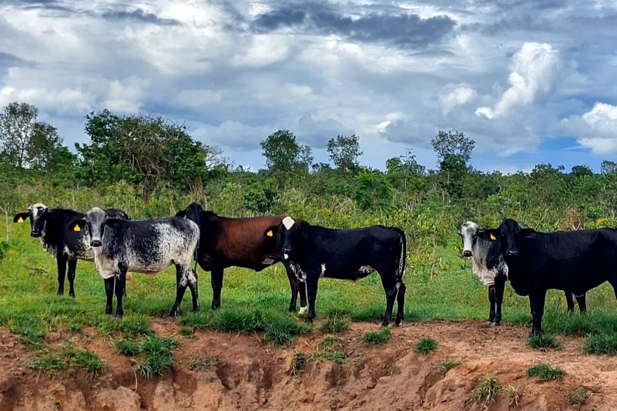 Foto: Prefeitura de Campo Verde