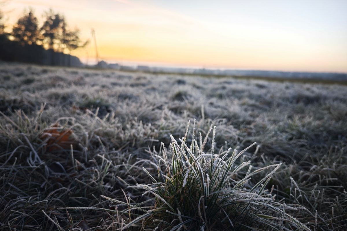 Madrugada deste sábado devem ter mínimas entre 0 °C e 3 °C em regiões do Paraná e Santa Catarina | Foto: Adobe Stock