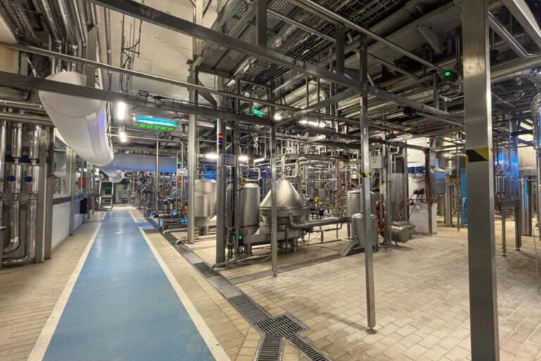 Fábrica centenária fortalece produção de leite no norte da França