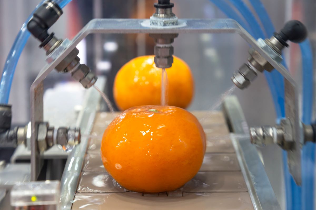 Tarifa de 50% deve comprometer competitividade das indústrias de suco de laranja | Foto: Adobe Stock