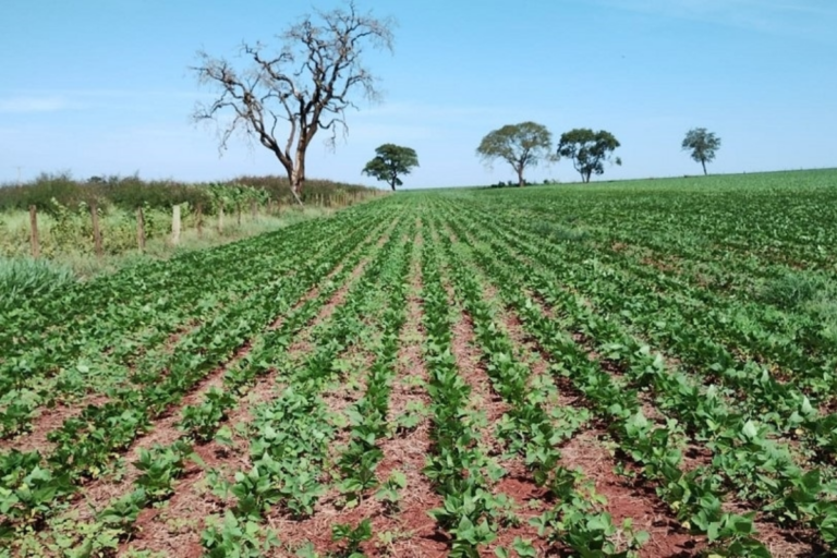 Minas Gerais amplia dispensa de licenciamento ambiental para áreas rurais