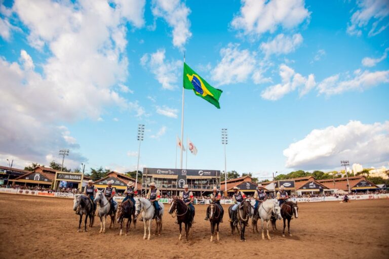 Exposição do Mangalarga Marchador reúne 1.600 animais em MG