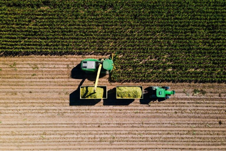 Na Argentina, colheita de milho chega a 84% da área, diz Bolsa de Cereais