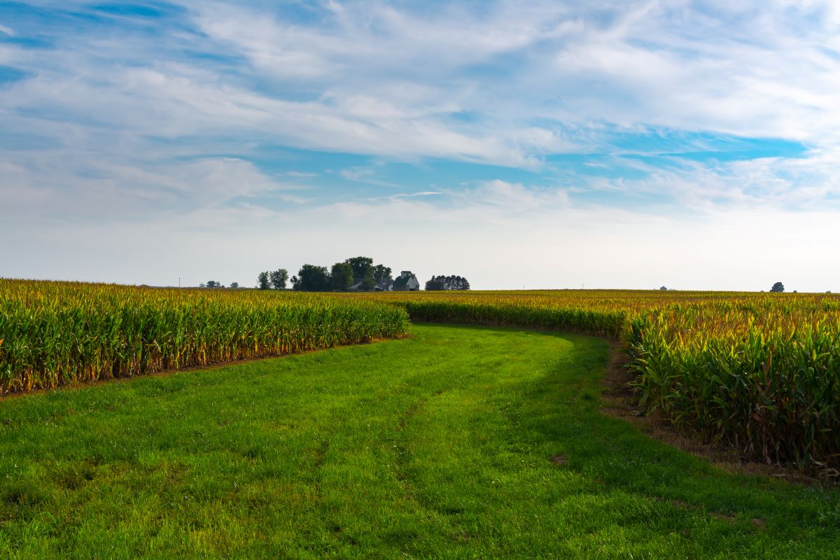 Imposto sobre a Propriedade Territorial Rural (ITR) é calculado a partir da declaração | Foto: Adobe Stock