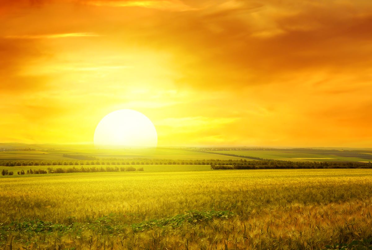 No Centro-Oeste, o calor deve predominar, com máximas acima de 32°C | Foto: Adobe Stock