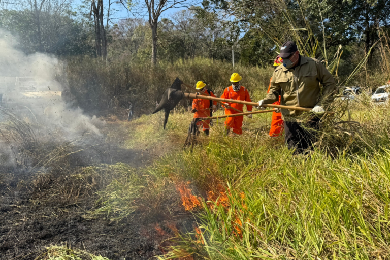 Produtores rurais de SP terão capacitação para prevenir incêndios florestais