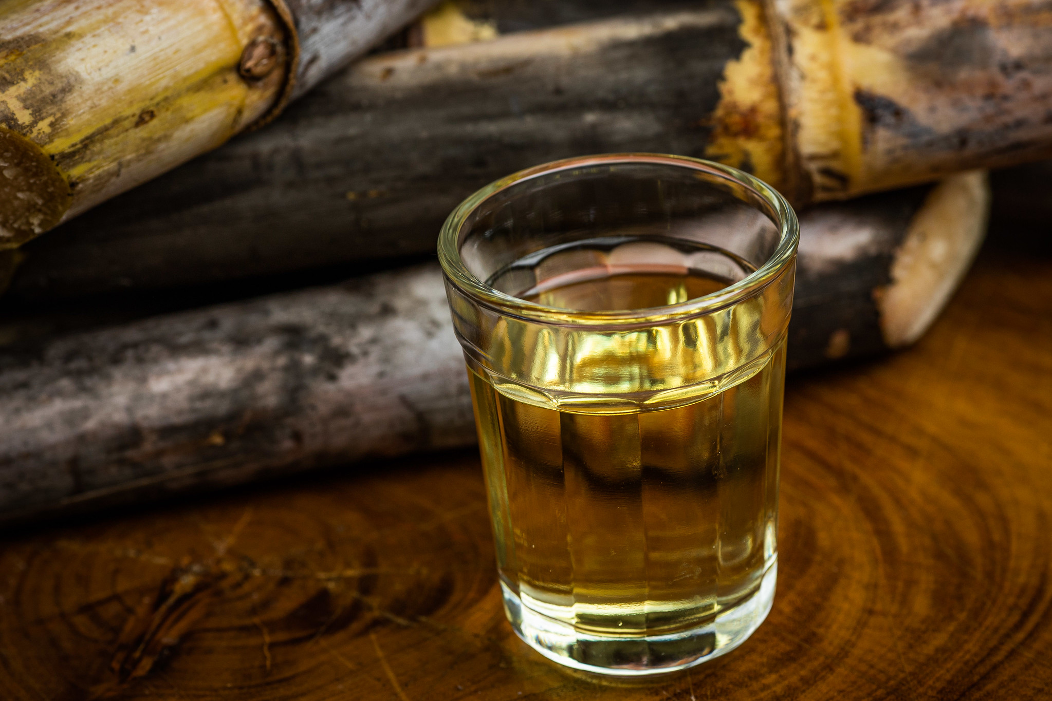 diferença entre cachaça e aguardente