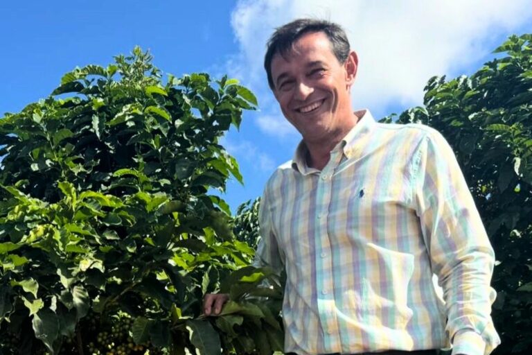 Organização e ‘trabalho de jardinagem’ mudam cenário do café em Caconde (SP)