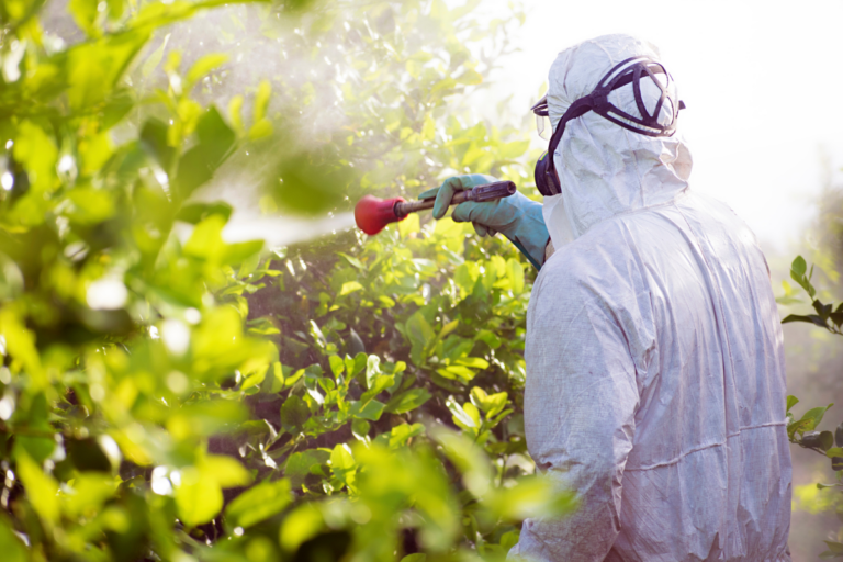 Parceria vai capacitar produtores sobre uso de agrotóxicos