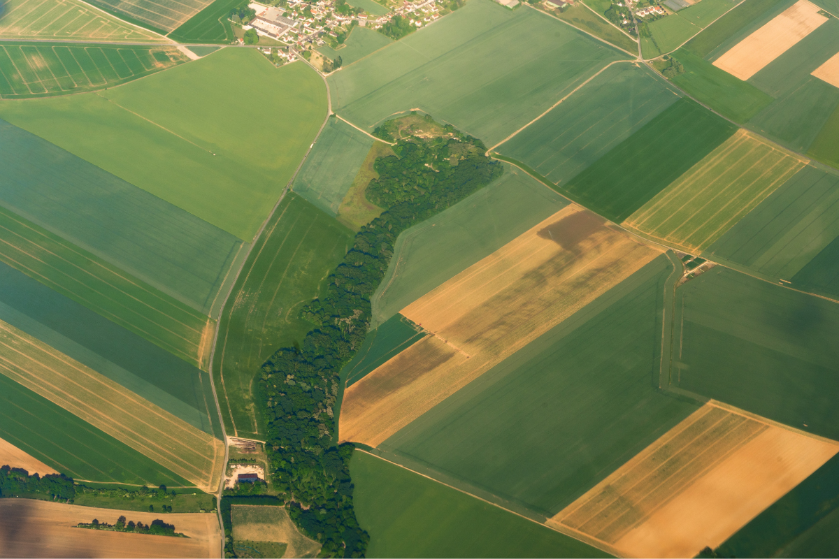 Foto: Adobe Stock