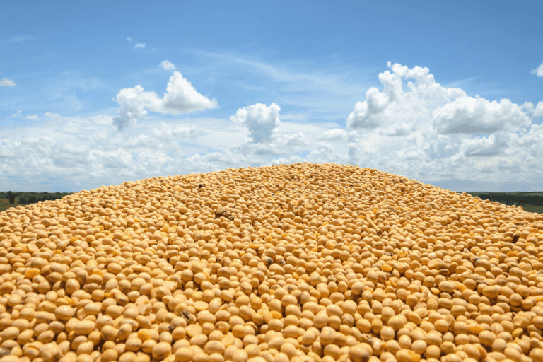 Datagro projeta recorde de 180 milhões de toneladas de soja em 25/26