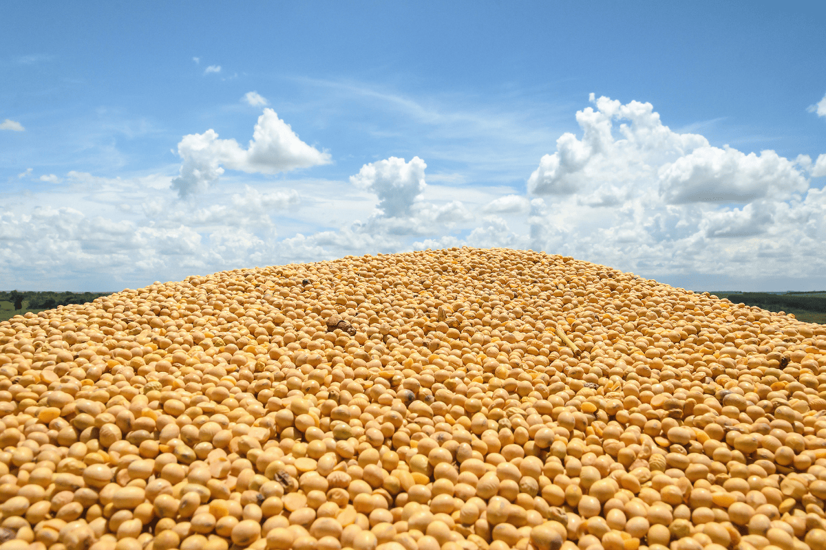 Foto: Adobe Stock   