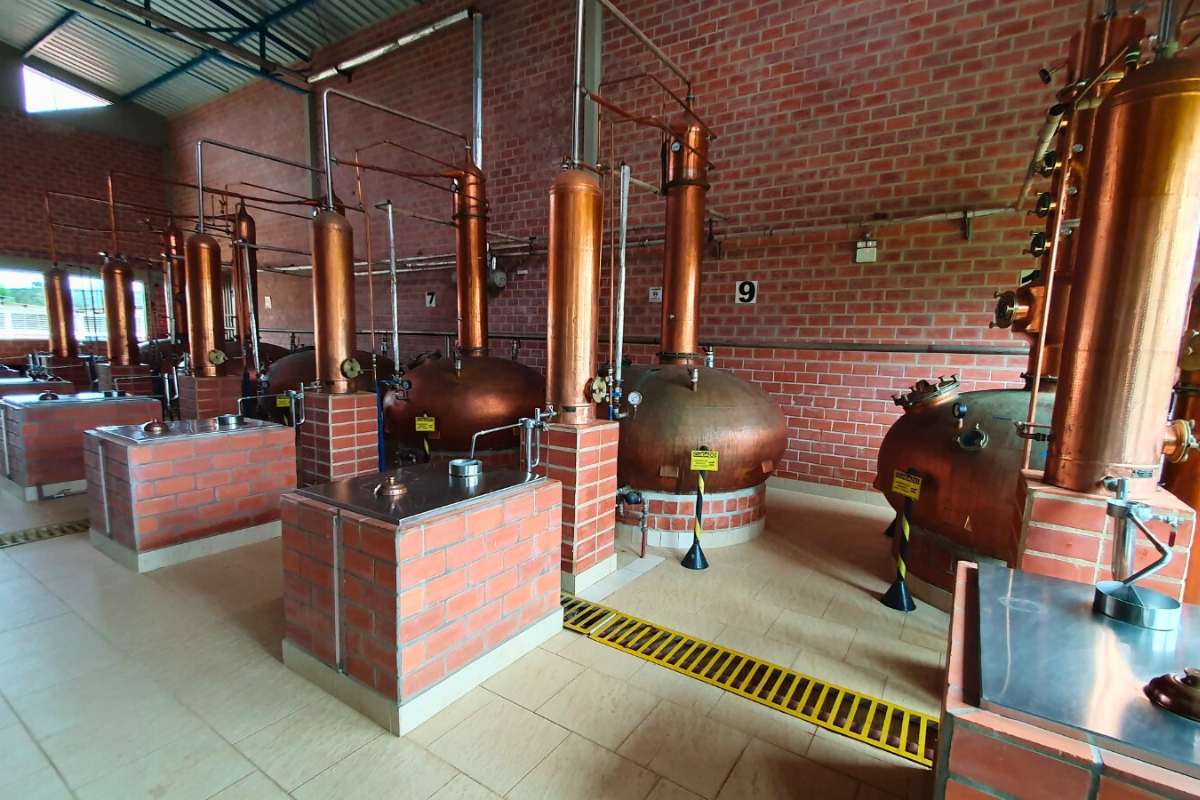 diferença entre cachaça e aguardente